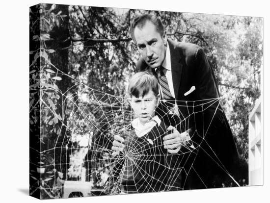 The Fly, Charles Herbert, Vincent Price, 1958, Spider Web-null-Stretched Canvas