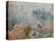 The Fog, Voisins-Alfred Sisley-Premier Image Canvas