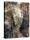 The Forest Path, 1871-Pierre-Auguste Renoir-Premier Image Canvas