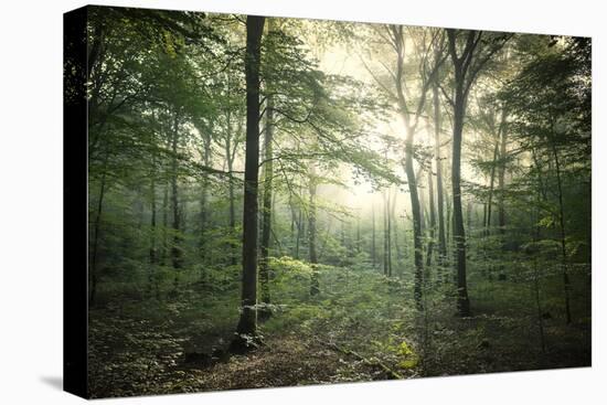 The Forest-Philippe Manguin-Premier Image Canvas