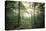 The Forest-Philippe Manguin-Premier Image Canvas