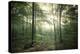 The Forest-Philippe Manguin-Premier Image Canvas