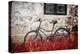 The Forgotten Bike-Philippe Sainte-Laudy-Premier Image Canvas