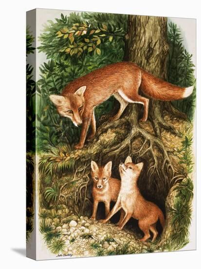 The Fox Family, Illustration from 'Once Upon a Time', 1971-John Chalkley-Premier Image Canvas