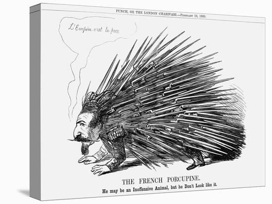 The French Porcupine, 1859-null-Premier Image Canvas