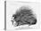 The French Porcupine, 1859-null-Premier Image Canvas