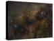 The Galactic Center of the Milky Way Galaxy-null-Premier Image Canvas