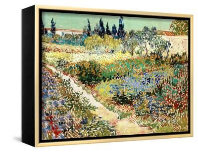 The Garden At Arles 1888 Framed Canvas Print By Vincent Van Gogh Art Com