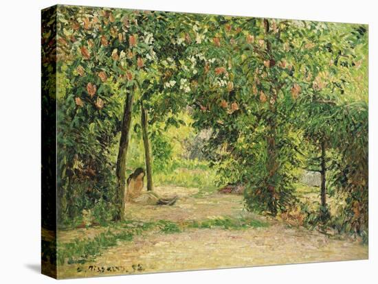 The Garden at Eragny in Spring, 1894-Camille Pissarro-Premier Image Canvas