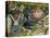 The Garden of Earthly Delights, 1490-1500-Hieronymus Bosch-Premier Image Canvas