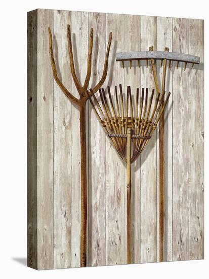 The Gardener's Tools-Mark Chandon-Stretched Canvas