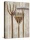 The Gardener's Tools-Mark Chandon-Stretched Canvas