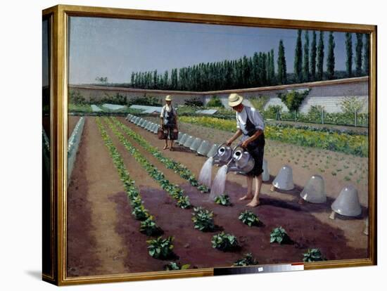 The Gardeners. Two Men with their Watering Cans Irrigate their Plantation. near Them, Glass Bells U-Gustave Caillebotte-Premier Image Canvas