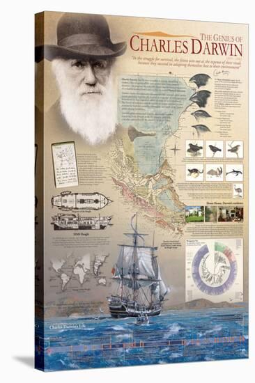 The Genius of Charles Darwin-null-Stretched Canvas