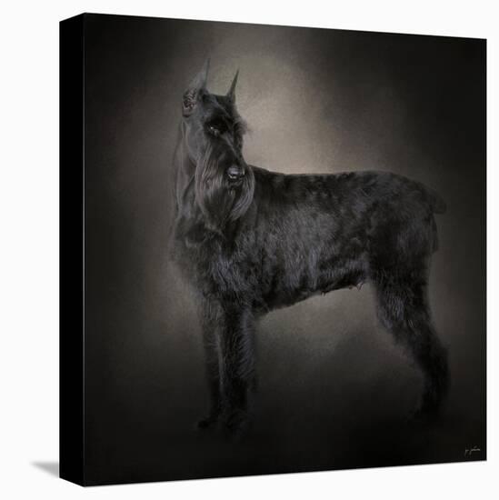 The Giant Black Schnauzer-Jai Johnson-Premier Image Canvas