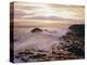 The Giant's Causeway, County Antrim, Ulster, Northern Ireland, UK, Europe-Roy Rainford-Premier Image Canvas