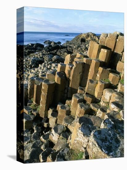 The Giant's Causeway, Unesco World Heritage Site, County Antrim, Northern Ireland-Bruno Barbier-Premier Image Canvas