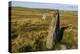 The Giant's Stones, Standing Stones, Scotland-Eleanor Scriven-Premier Image Canvas