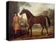 The Godolphin Arabian-John Wootton-Premier Image Canvas