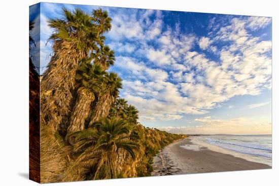 The Golden California Coastline at Swami's Beach in Encinitas, Ca-Andrew Shoemaker-Premier Image Canvas