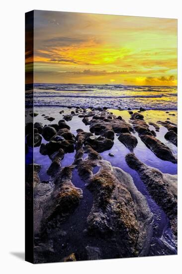 The golden setting sun reflects a gold glow on the beach at Pererenan Beach, Bali, Indonesia-Greg Johnston-Premier Image Canvas