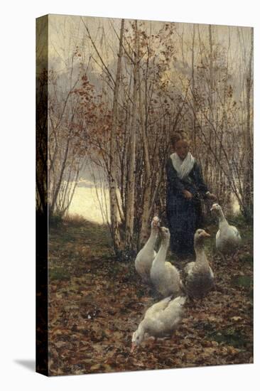 The Goose Maiden-Brittany, 1881-Alfred Edward Emslie-Premier Image Canvas