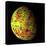 The Grail Free-Air Gravity Map of the Moon-null-Premier Image Canvas