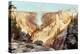 The Grand Canyon of the Yellowstone, 1872-Thomas Moran-Premier Image Canvas