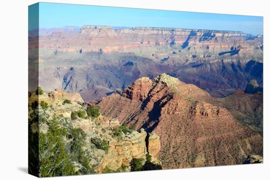 The Grand Canyon-meunierd-Premier Image Canvas