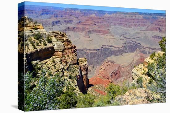 The Grand Canyon-meunierd-Premier Image Canvas