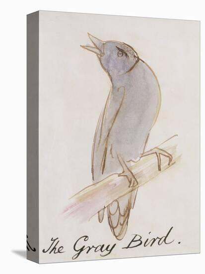 The Gray Bird, from "Sixteen Drawings of Comic Birds"-Edward Lear-Premier Image Canvas