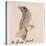 The Gray Bird-Edward Lear-Premier Image Canvas