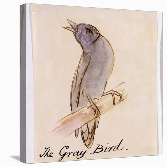 The Gray Bird-Edward Lear-Premier Image Canvas