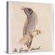 The Gray Bird-Edward Lear-Premier Image Canvas