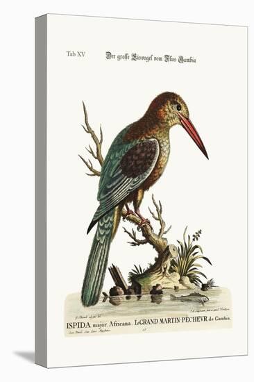 The Great Kingfisher from the River Gambia, 1749-73-George Edwards-Premier Image Canvas