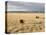 The Great Plains, New Mexico, USA-Occidor Ltd-Premier Image Canvas