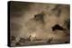 The Great Wildebeest Migration-Adrian Wray-Premier Image Canvas