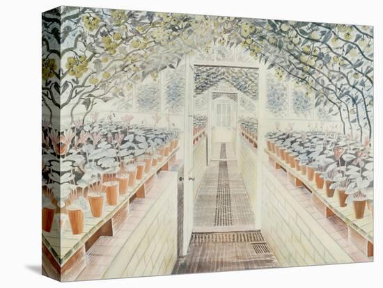 The Greenhouse: Cyclamen and Tomatoes-Eric Ravilious-Premier Image Canvas