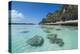 The grey Lekiny cliffs, Ouvea, Loyalty Islands, New Caledonia, Pacific-Michael Runkel-Premier Image Canvas