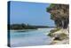 The grey Lekiny cliffs, Ouvea, Loyalty Islands, New Caledonia, Pacific-Michael Runkel-Premier Image Canvas