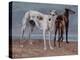 The Greyhounds of the Comte De Choiseul, 1866-Gustave Courbet-Premier Image Canvas