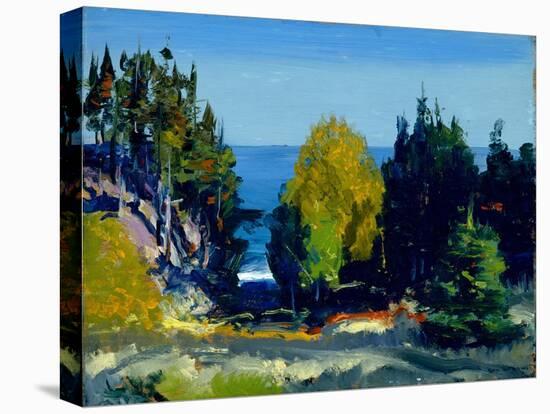 The Grove - Monhegan, 1911 (Oil on Board)-George Wesley Bellows-Premier Image Canvas