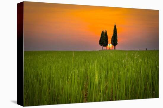 The guarded sun-Marco Carmassi-Premier Image Canvas