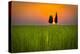 The guarded sun-Marco Carmassi-Premier Image Canvas