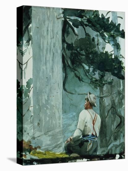 The Guide, 1895-Winslow Homer-Premier Image Canvas