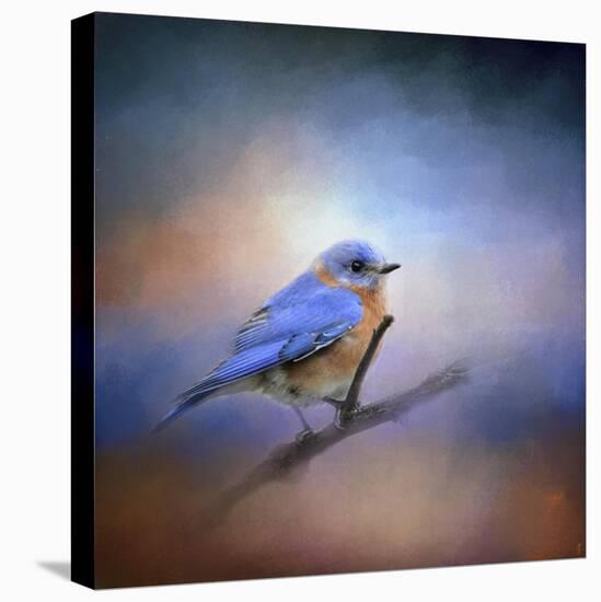 The Happiest Blue-Jai Johnson-Premier Image Canvas