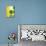 The Happy Dots 3, 2014-Nancy Moniz-Premier Image Canvas displayed on a wall