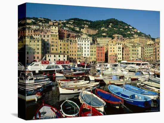 The Harbour, Camogli, Portofino Peninsula, Liguria, Italy-Ruth Tomlinson-Premier Image Canvas