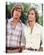 The Hardy Boys (1969)-null-Stretched Canvas