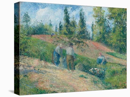 The Harvest, Pontoise, 1880-Camille Pissarro-Premier Image Canvas